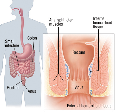 hole above medical extra anal