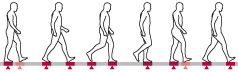 illustration of human walk cycle