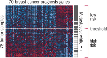 image of gene expression pattern data from a breast cancer test image of gene expression pattern data from a breast cancer test