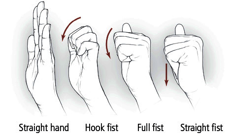 Hand/finger tendon glide exercise