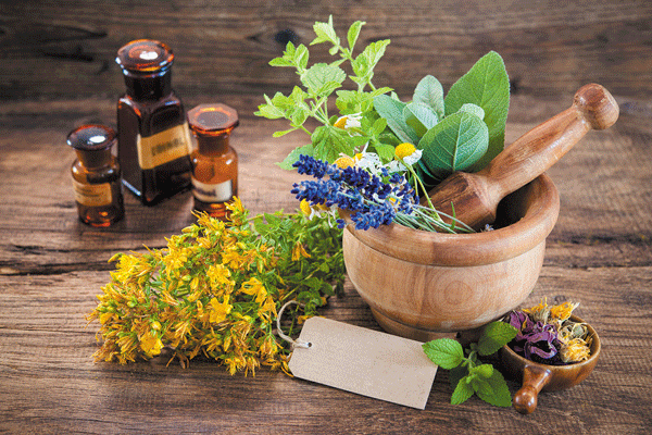 st john's wort tincture