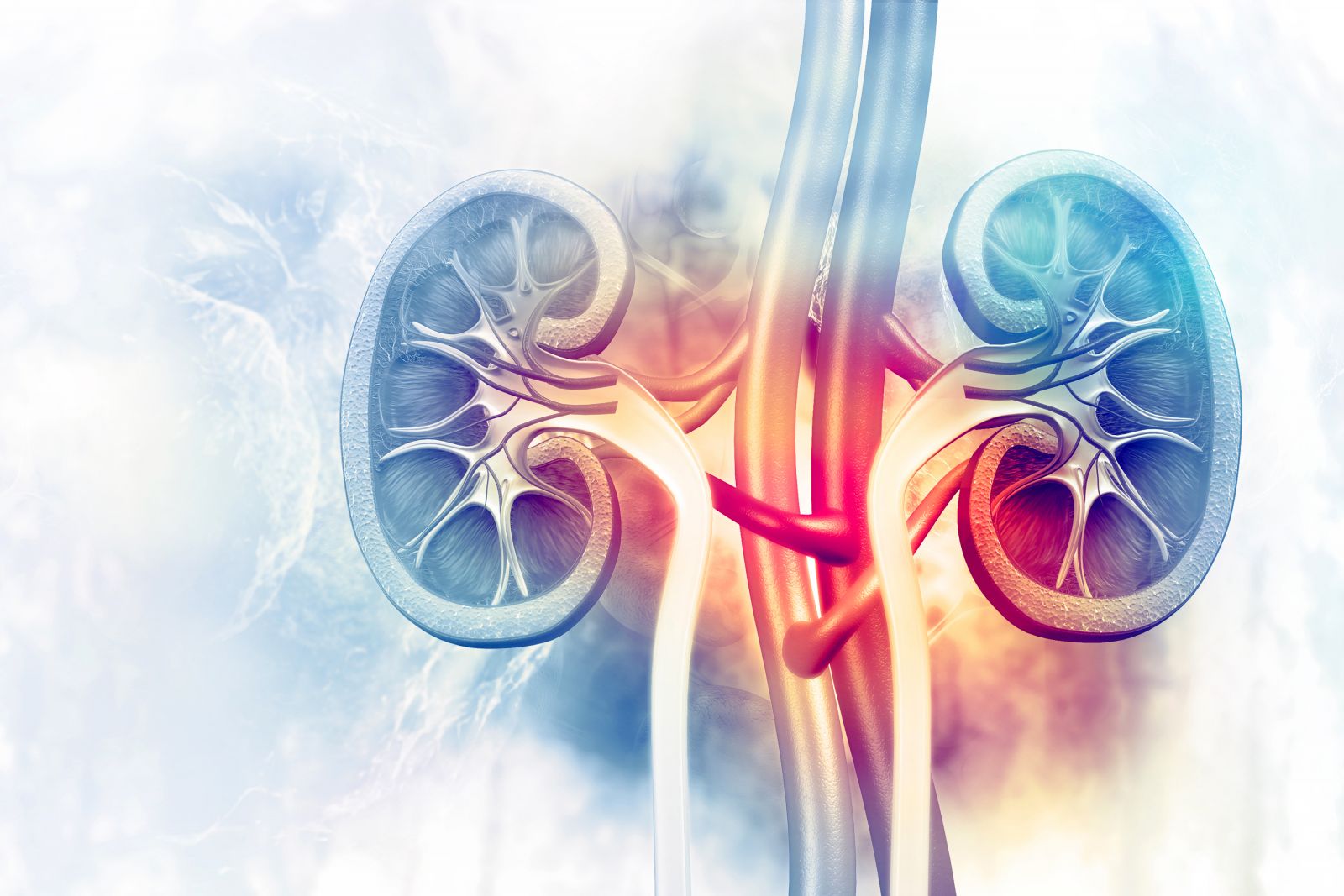 The Remedies Available For Kidney Failure