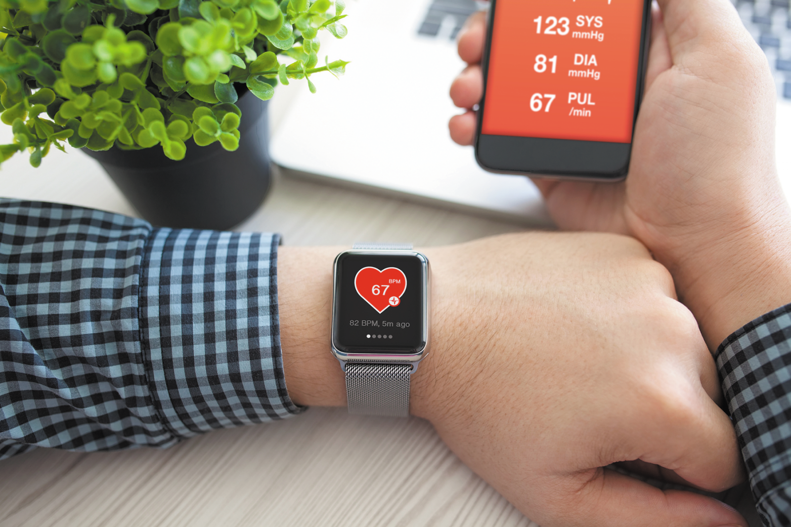 check heart rate with phone