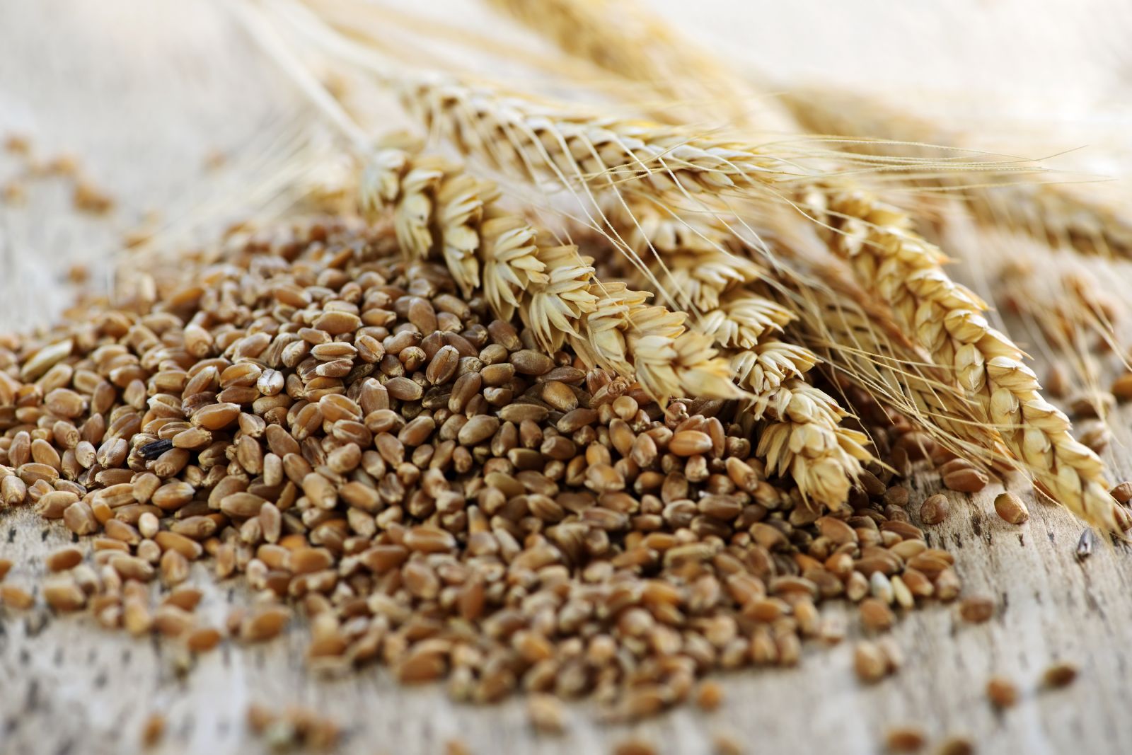 Reaping gains from grains Harvard Health