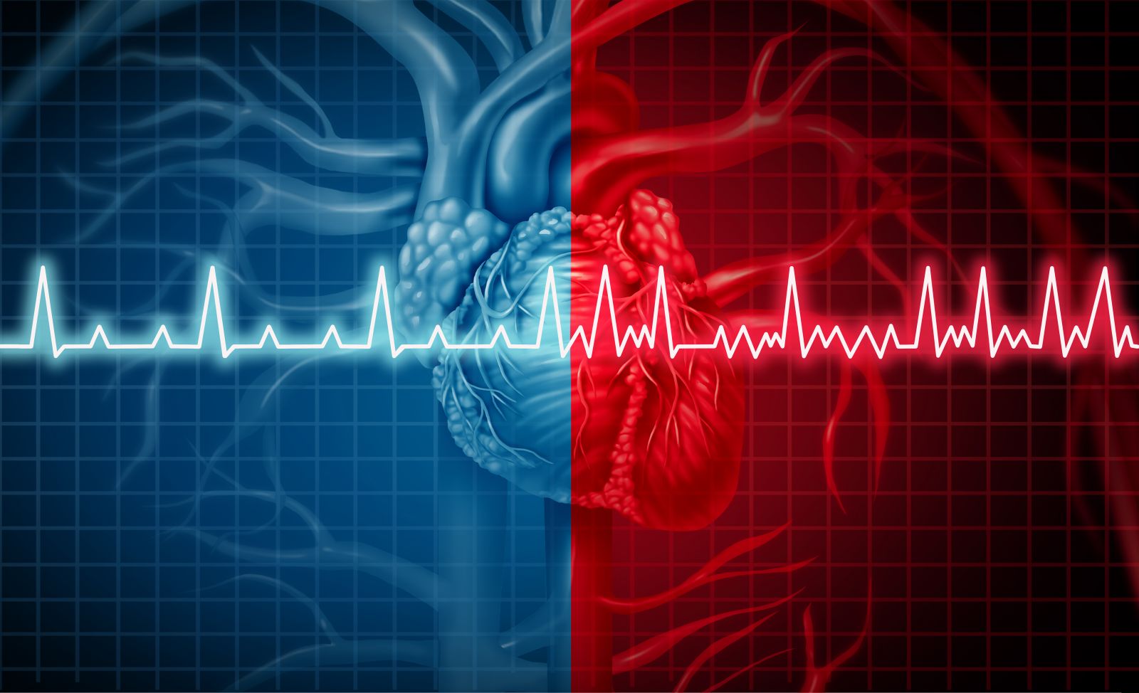 Fast Heart Rate Chart