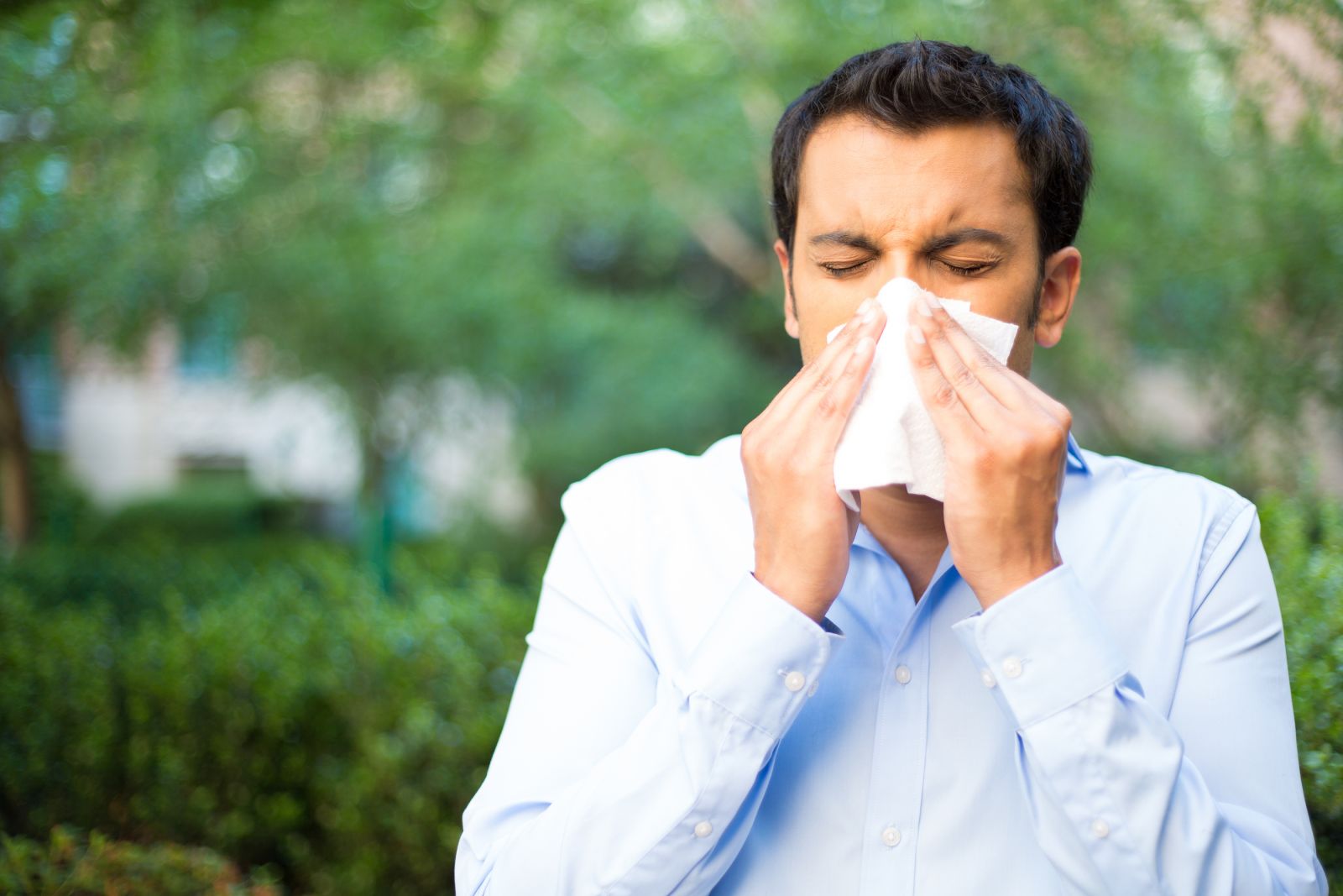 Just how to Deal With Allergies