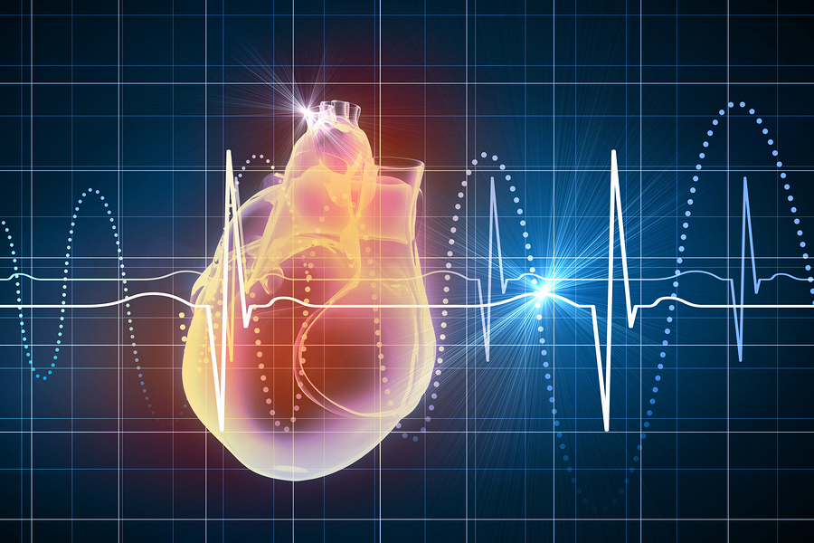 Heart Rate Activity Chart