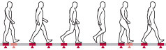 illustration of human walk cycle