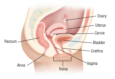 Men bacteria vaginosis itching after sex