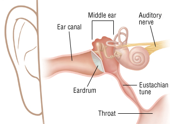 Can You Put Alcohol In Your Ear To Dry Up Fluid Swimmer S Ear Otitis Externa Harvard Health