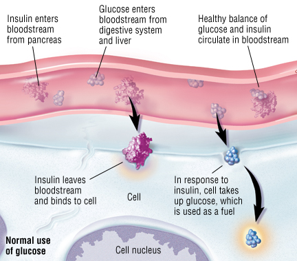 Type 1 Diabetes A1c Chart