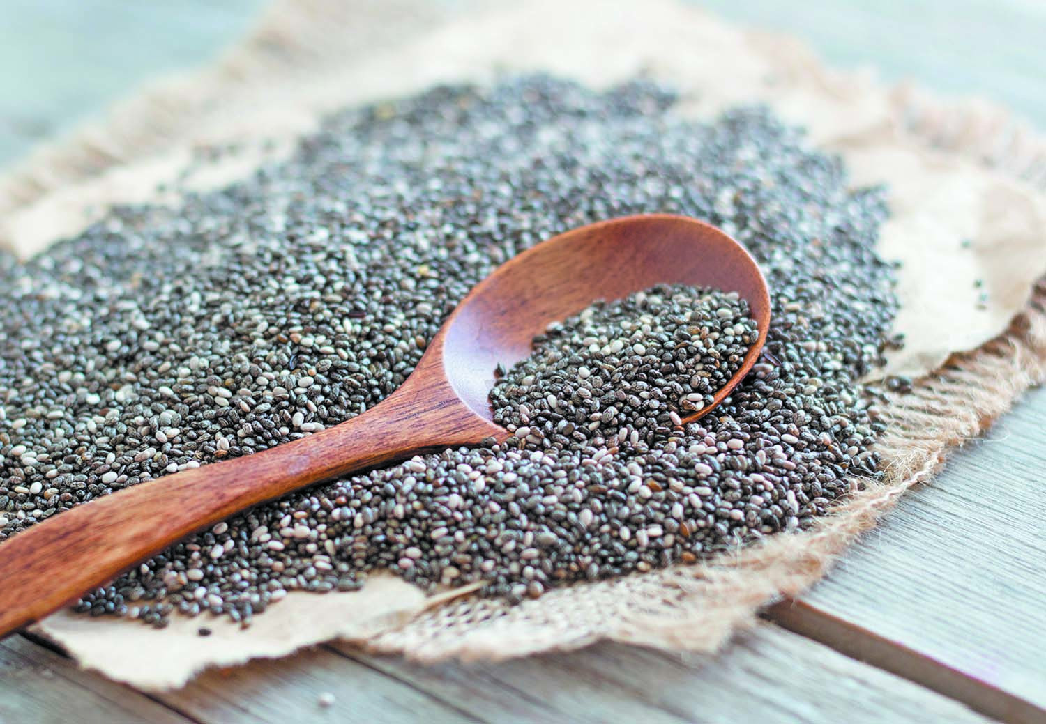 chia seed
