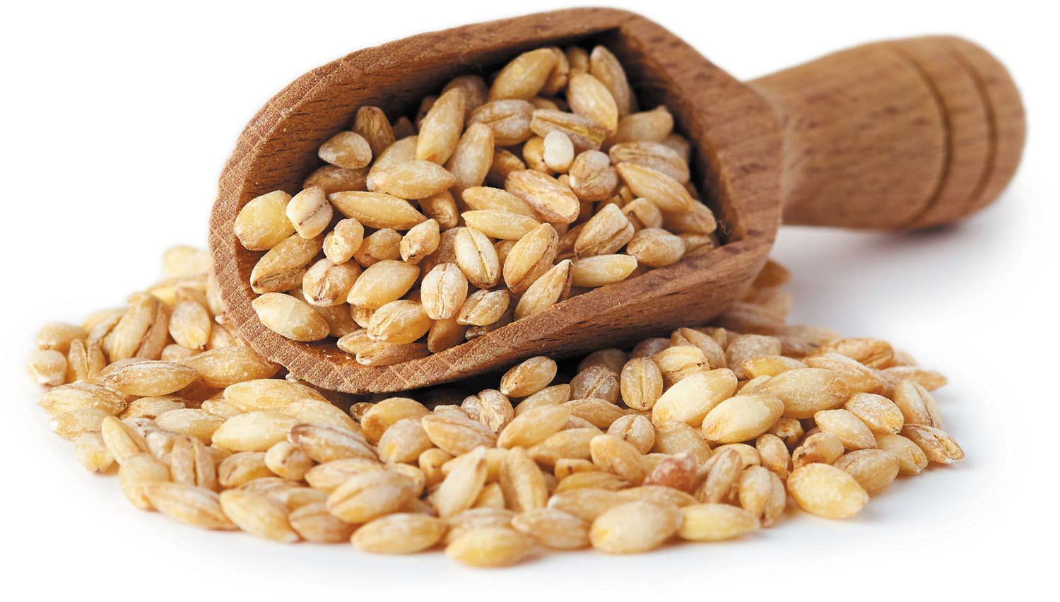 Grain of the month: Barley - Harvard Health
