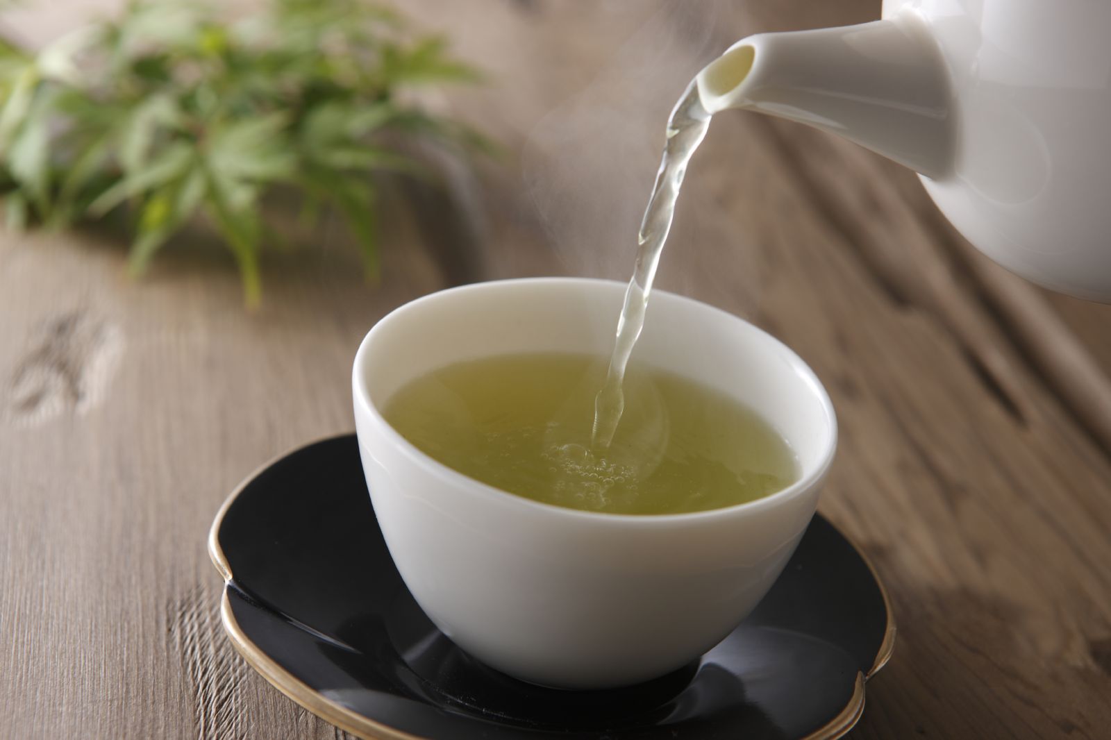 Image result for green tea