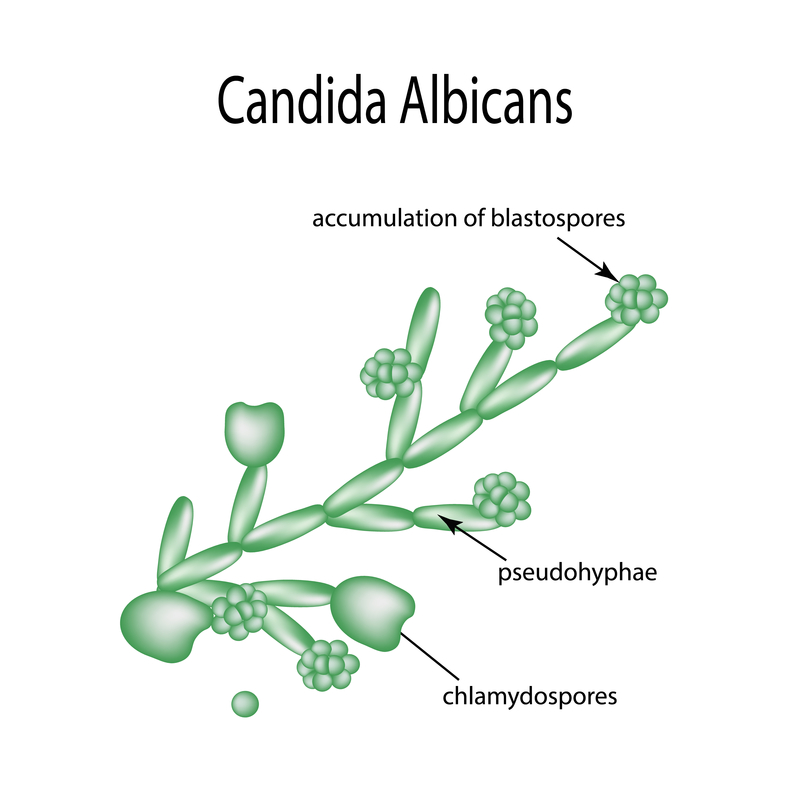 Candidiasis Harvard Health