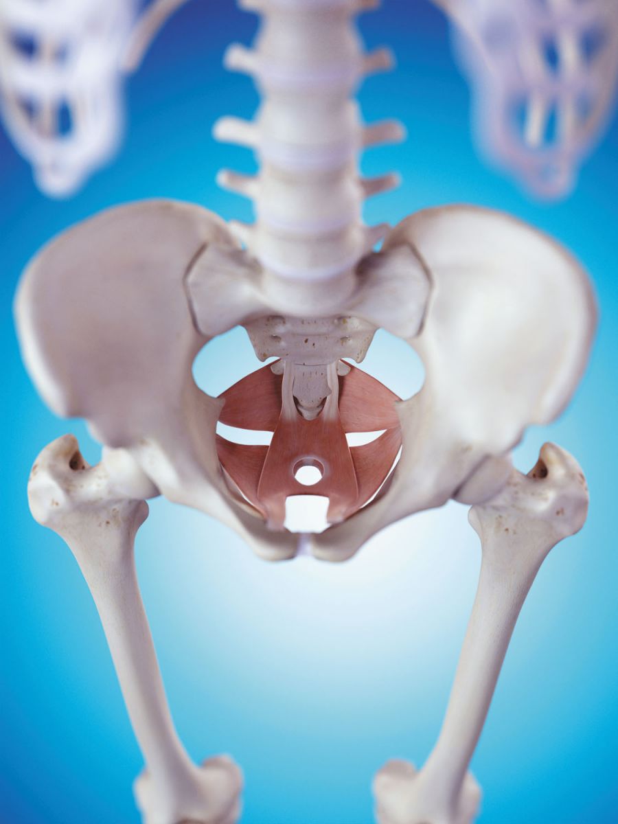 Pelvic Physical Therapy Another Potential Treatment Option
