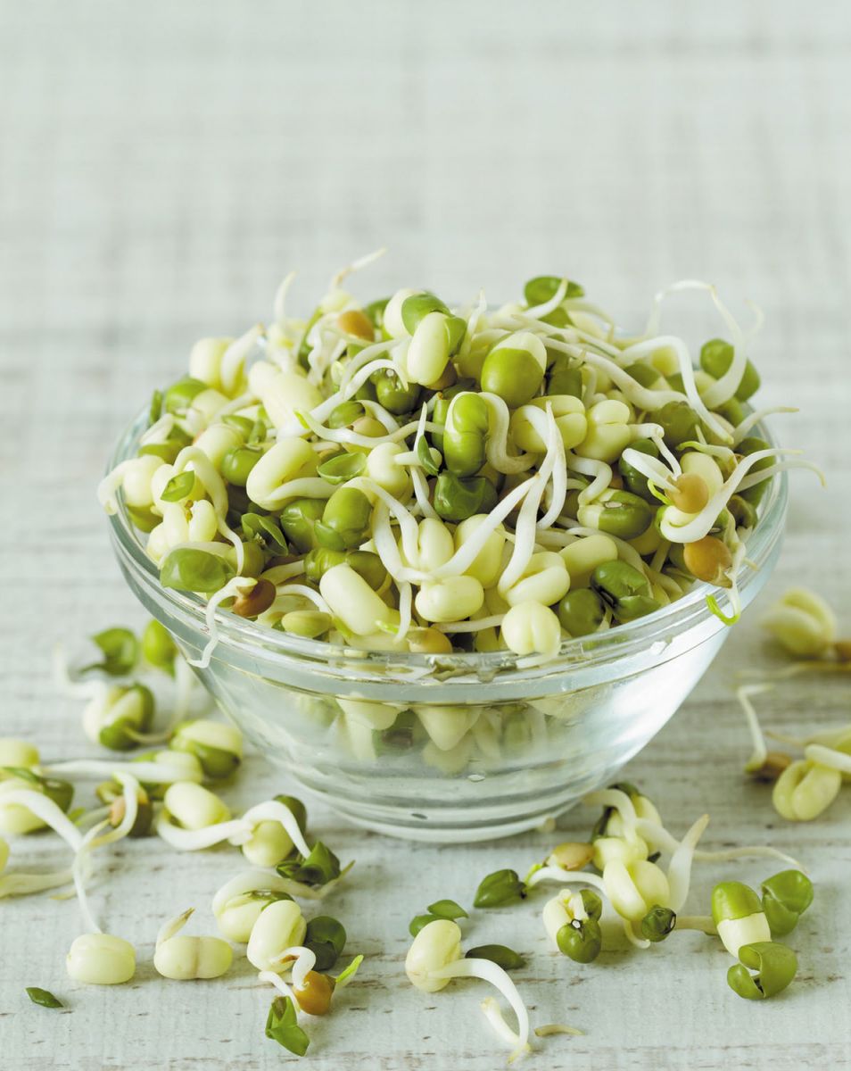 Legume of the month: Mung beans - Harvard Health Legume of the month: Mung beans - Harvard Health