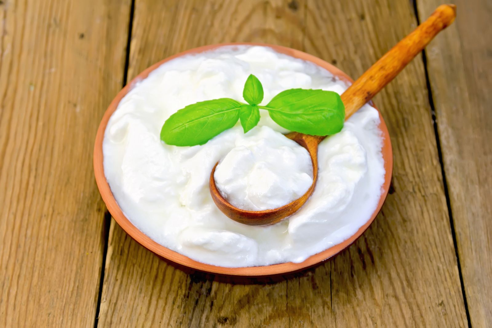 The Benefits Of Probiotics Bacteria Harvard Health