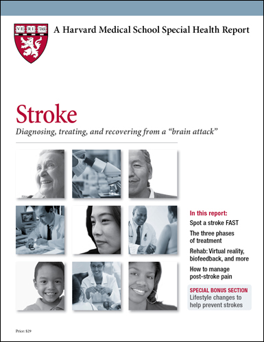Product Page - Stroke: Diagnosing, treating, and recovering from a  brain attack 