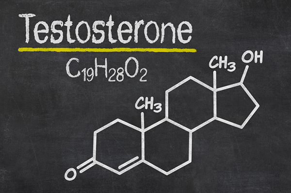 Testosterone — What It Does And Doesn't Do - Harvard Health