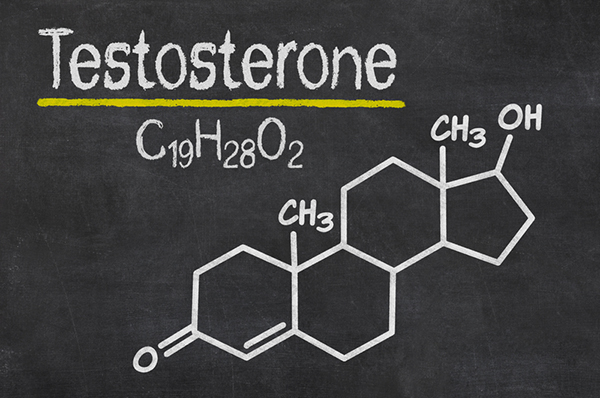 Image result for testosterone