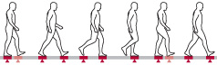 illustration of human walk cycle