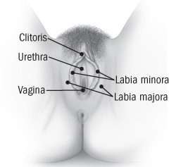 By The Way Doctor What Can I Do About Vulvodynia Harvard Health